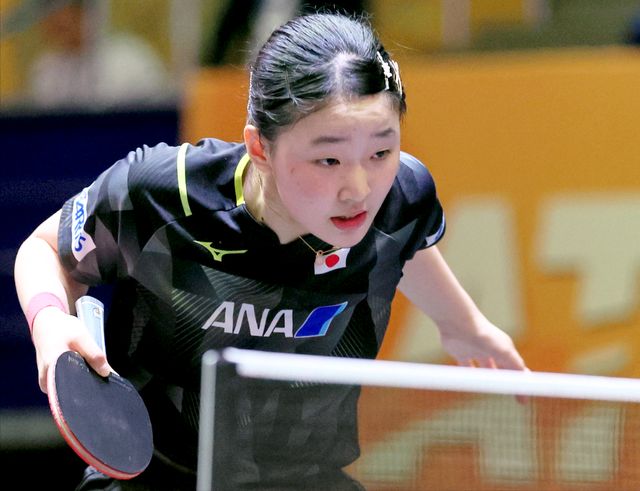 扮演了何种 扮演了何种