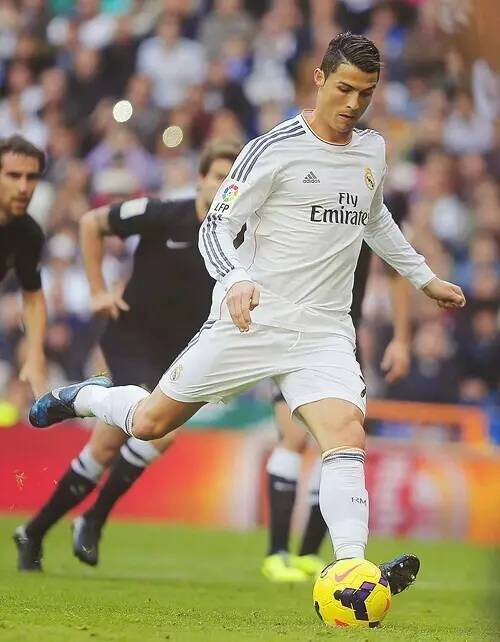 育项目日益 育项目日益