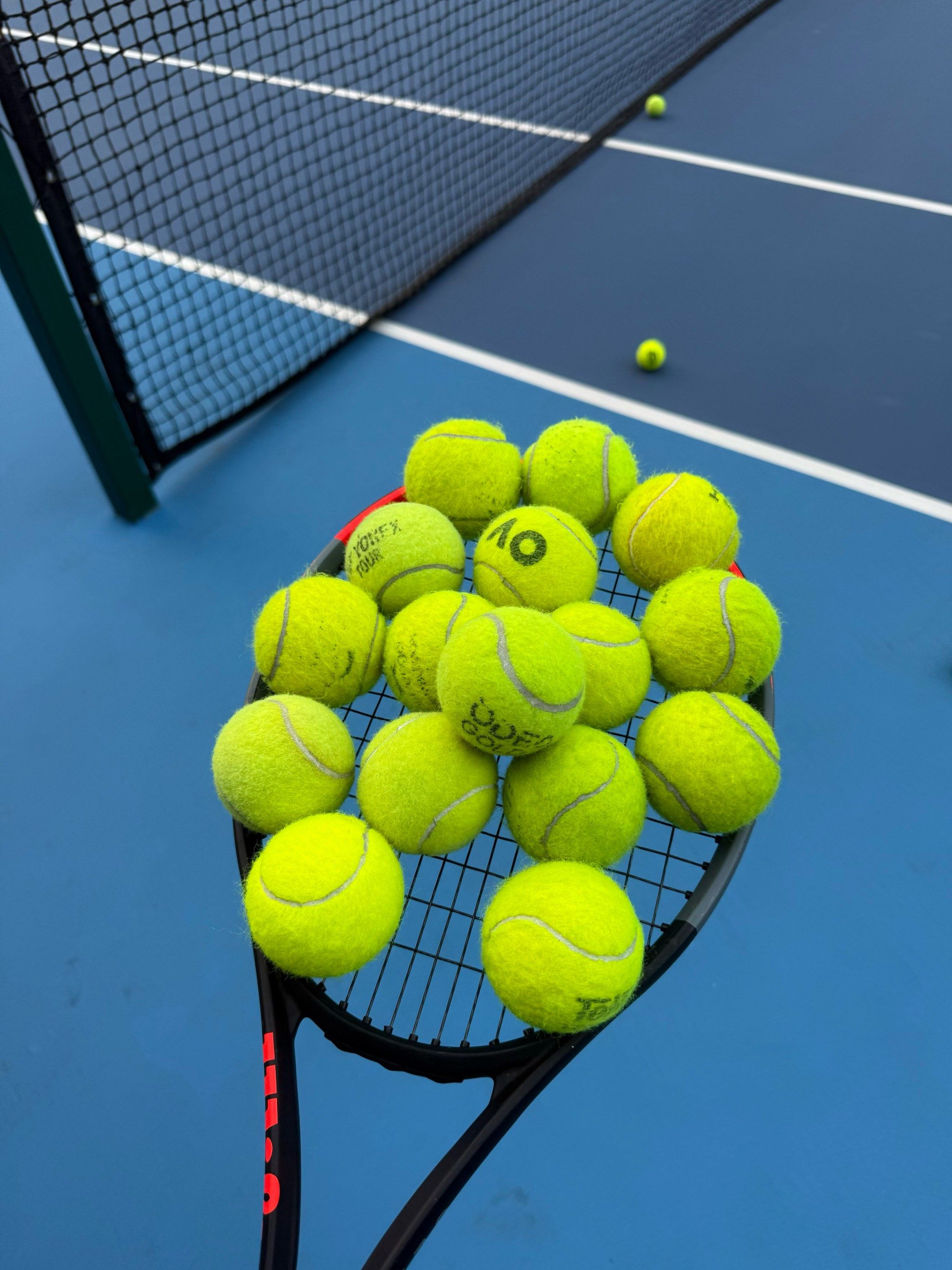 决将继续上 决将继续上